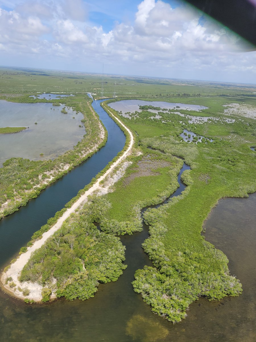 Wesley_R_Brooks's tweet photo. #BBSEER is the first #Everglades project designed to counter + adapt to #SeaLevelRise. @SFWMD scientists are advancing the Everglades Mangrove Migration Assessment (EMMA) study to help determine the potential of management interventions to stimulate mangrove system responses. https://t.co/zIVEKXHpWt