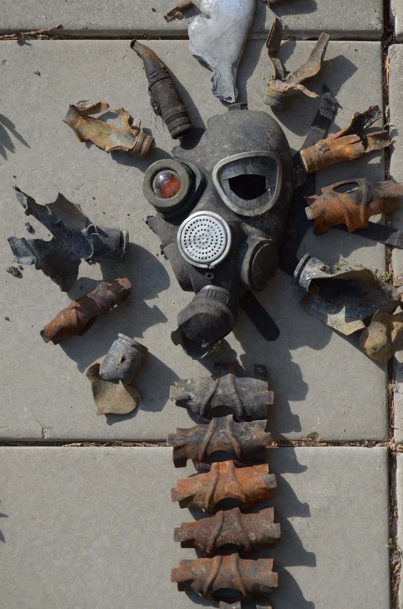 BedouinCossack tweet media