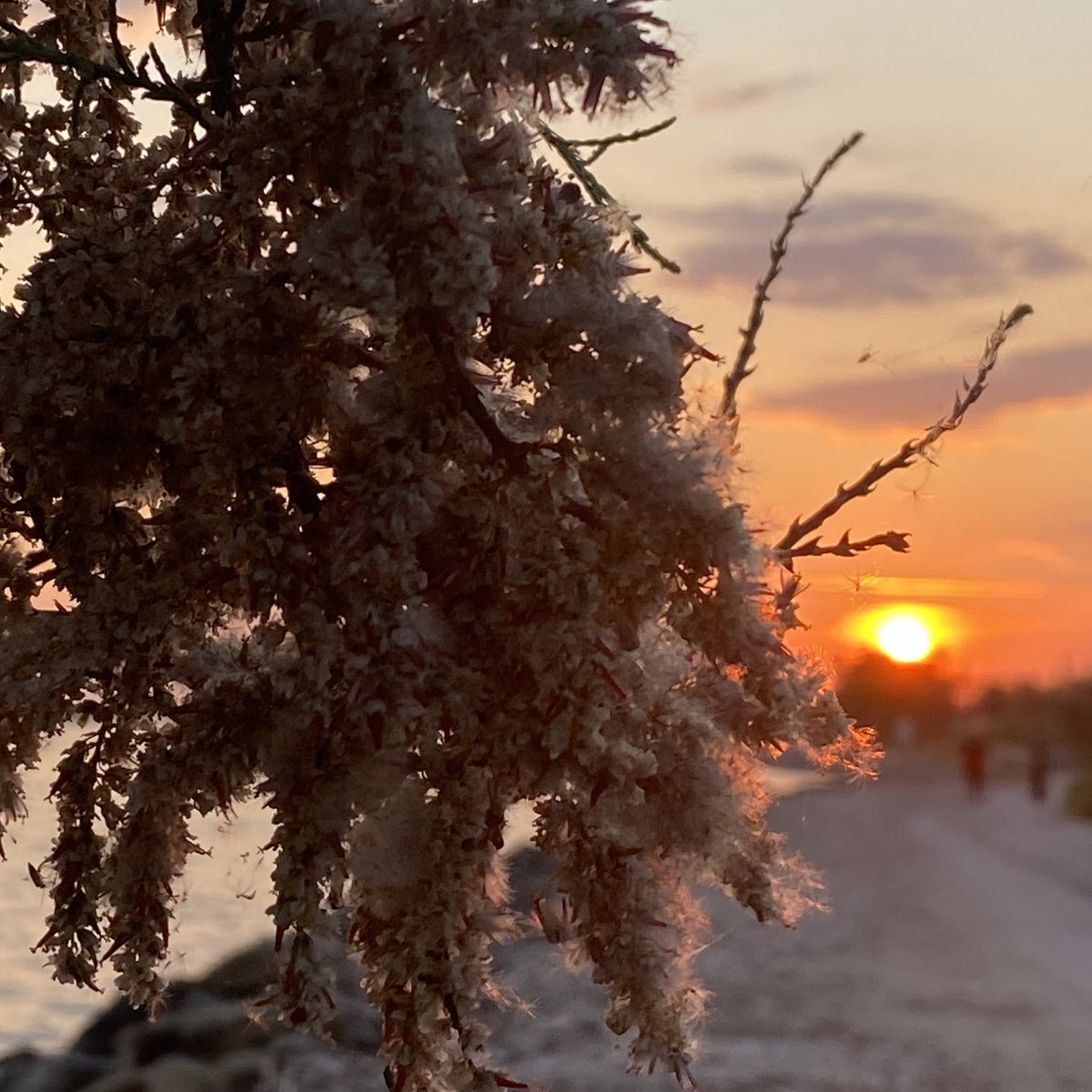 𝐆𝐮𝐬 𝐇𝐚𝐲𝐝𝐨𝐧 🕊🇬🇷 tweet media