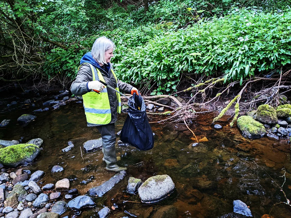 WOLCT's tweet photo. Amazing start to our upstream clean up &amp; Giant Hogweed blitz.
  
42 Giant Hogweed plants mapped &amp; zapped &amp; lots of litter removed.

Thank you to all that helped.

Such a beautiful stretch of river ! 

@Edinburgh_CC
@KSBScotland
#inns
#volunteersmakingadifference 
#currie https://t.co/06sIlwDpQB