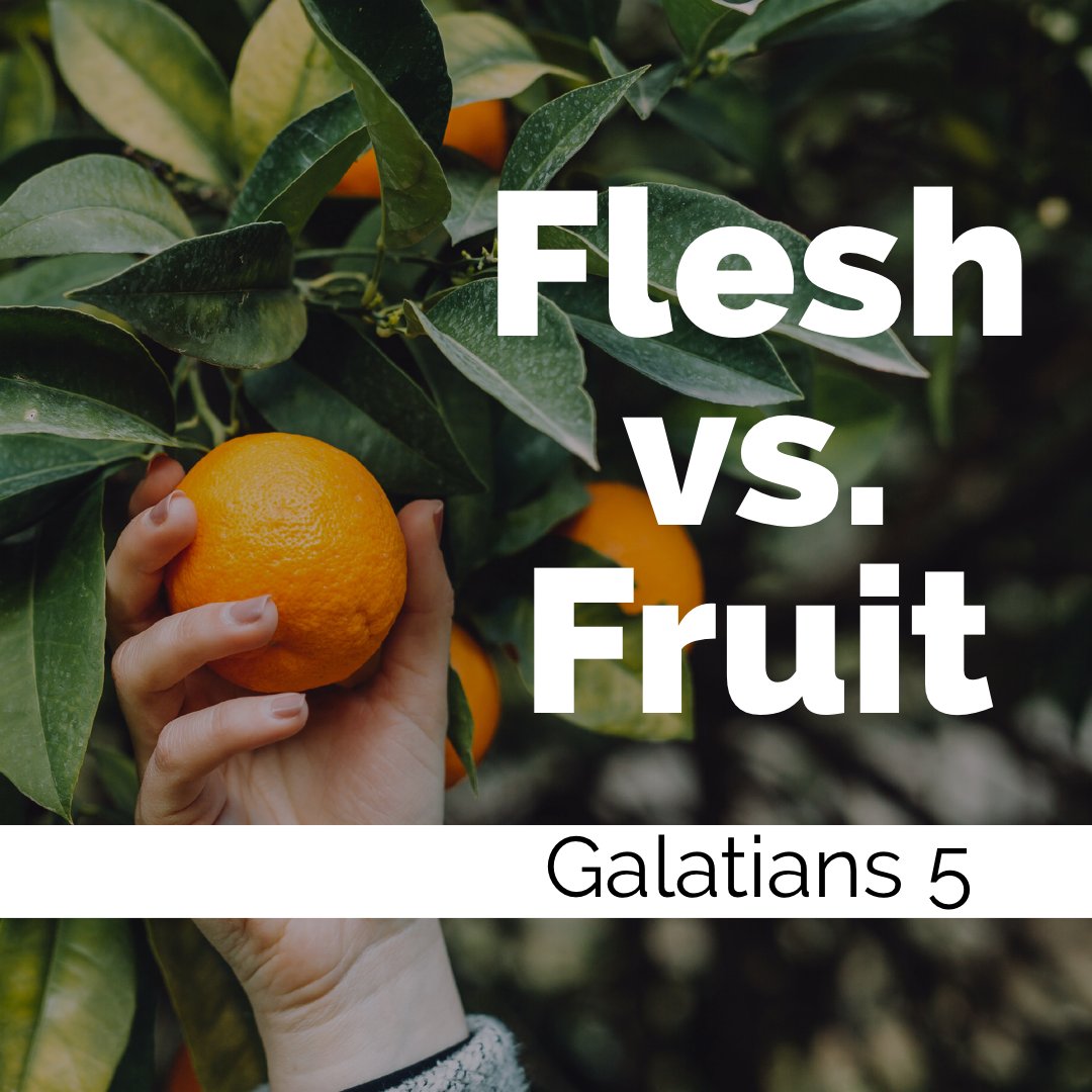 EmergeChurchAB's tweet photo. Walk by the #Spirit, and you will not gratify the desires of the #flesh. Happy Saturday, Emerge Crew! Tomorrow is all about how to live better by following the Holy Spirit instead of ourselves. Come #worship with us at 10:30 AM as we #celebrate the good life together! https://t.co/xiy64QPN5x