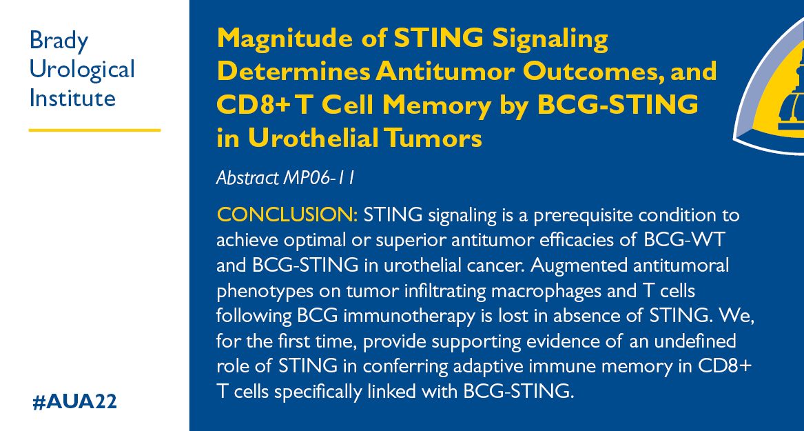 The Johns Hopkins Brady Urological Institute tweet media