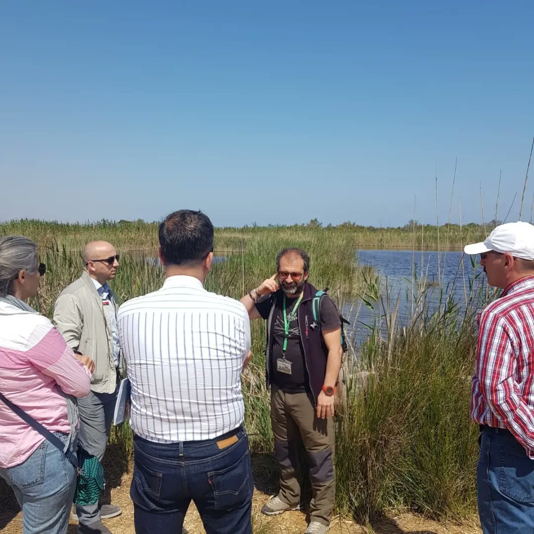 tobecoop's tweet image. Çalışma ziyareti kapsamında Thalassia Kooperatifi ile birlikte Torre Guaceto&apos;nun doğal deniz rezervini keşfediyoruz.
Turkish delegation discovering the naturale marine reserve of Torre Guaceto together with Thalassia Cooperative.
@ABBaskanligi @DiyalogProjesi @Halieus_ @GktuDalgi