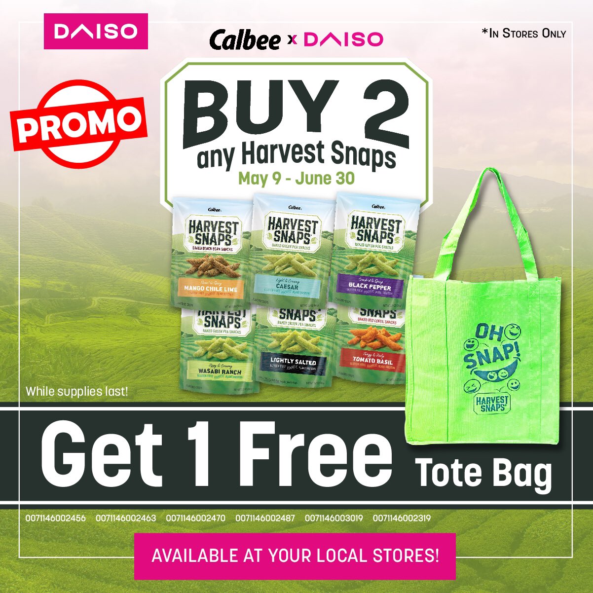 Reusable Shopping Bag - Emerald Green – DAISO SINGAPORE