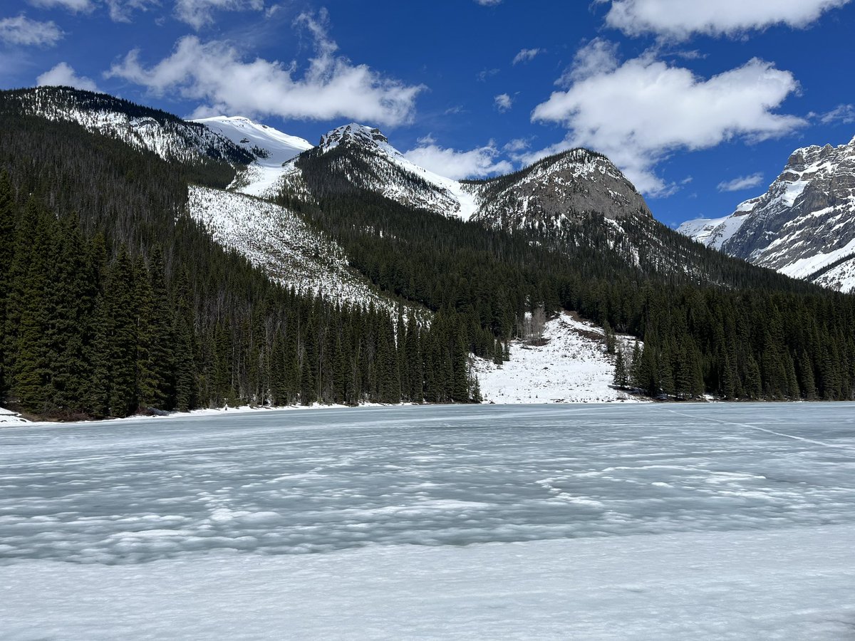solisescapes's tweet photo. Lake Louise is gorgeous today #rockymountaineer #solisescapes https://t.co/FeO8FAyQAq