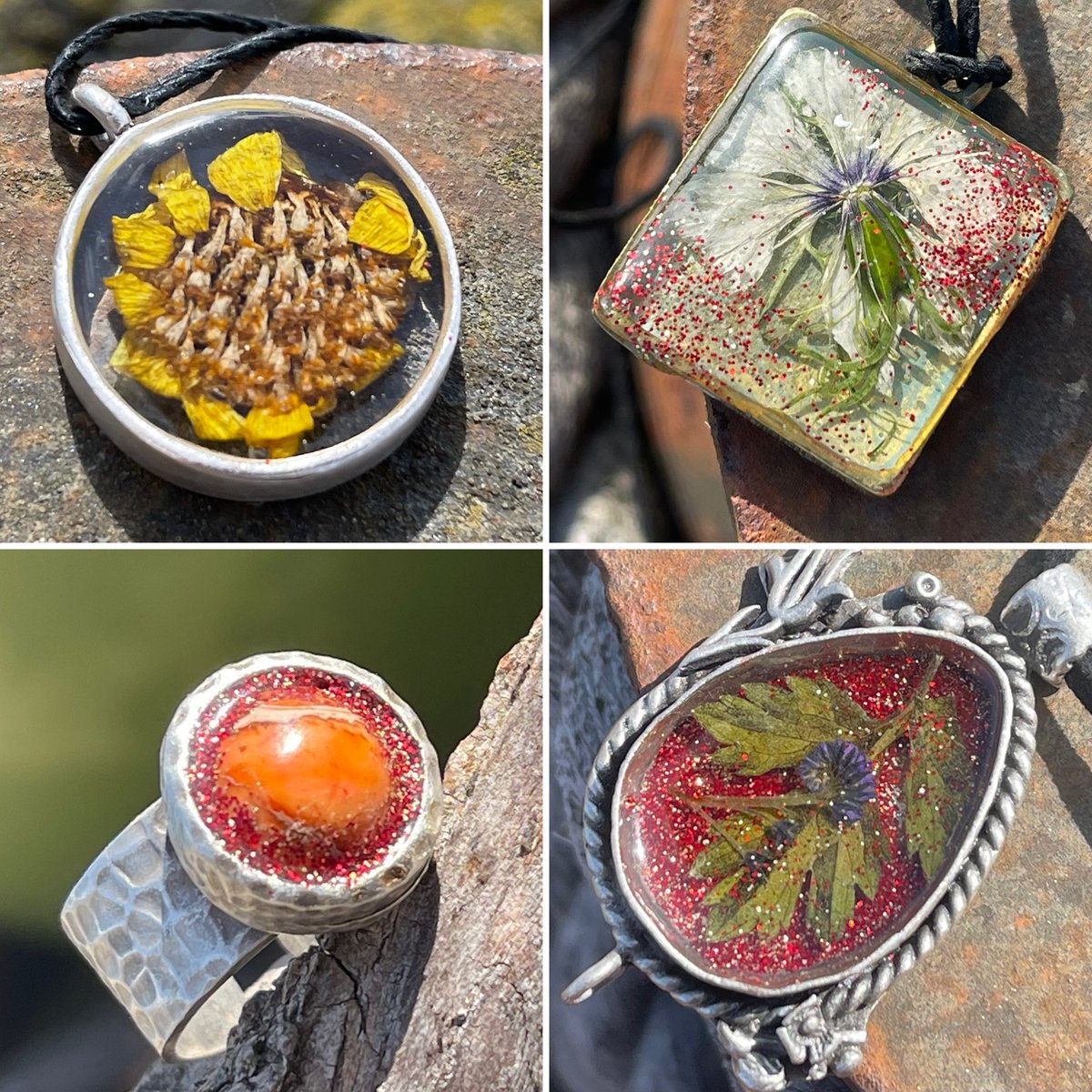 EcoOctopus tweet media