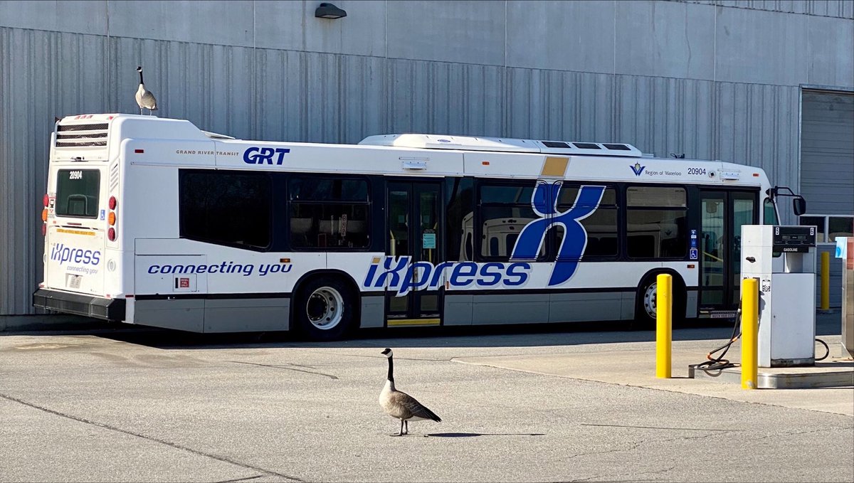GRT_ROW's tweet photo. Sorry, this bus is now out of service indefinitely. https://t.co/cPan5ef891
