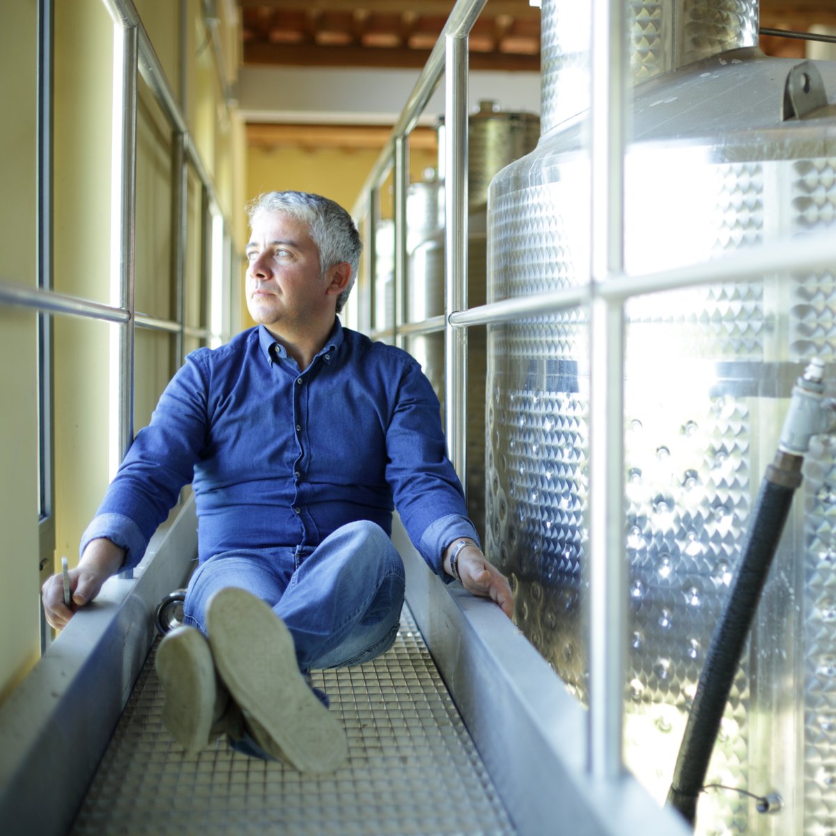 polanerselect's tweet image. Collestefano 2021 Vericchio arrives shortly! Fabio Marchionni makes super fresh Verdicchio whose style comes across more Alto Adige than Marche. 
​photos by @the_accidental_italian