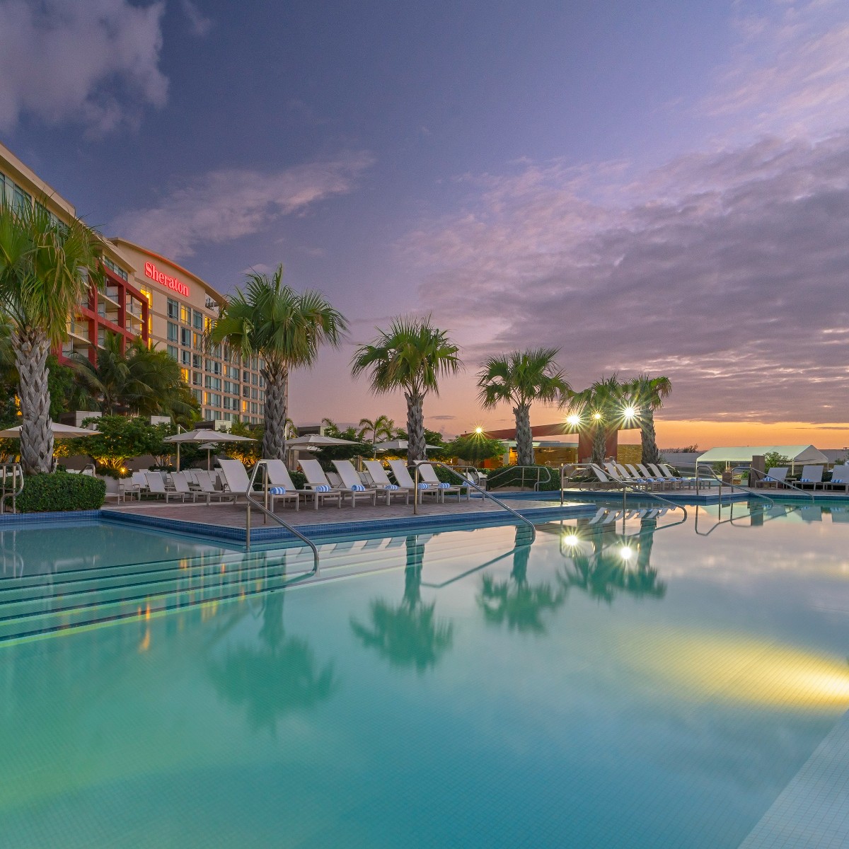 MeetingsInPR's tweet photo. The beautiful @SheratonPR is located right in the center of the @prconvention district in San Juan, just 10 minutes away from the international airport. Between meetings, can you imagine yourself next to this pool?❤️🇵🇷 #MeetInFullColor #DiscoverPuertoRico https://t.co/UNJZ0LOWTq https://t.co/iA7ib2piBP
