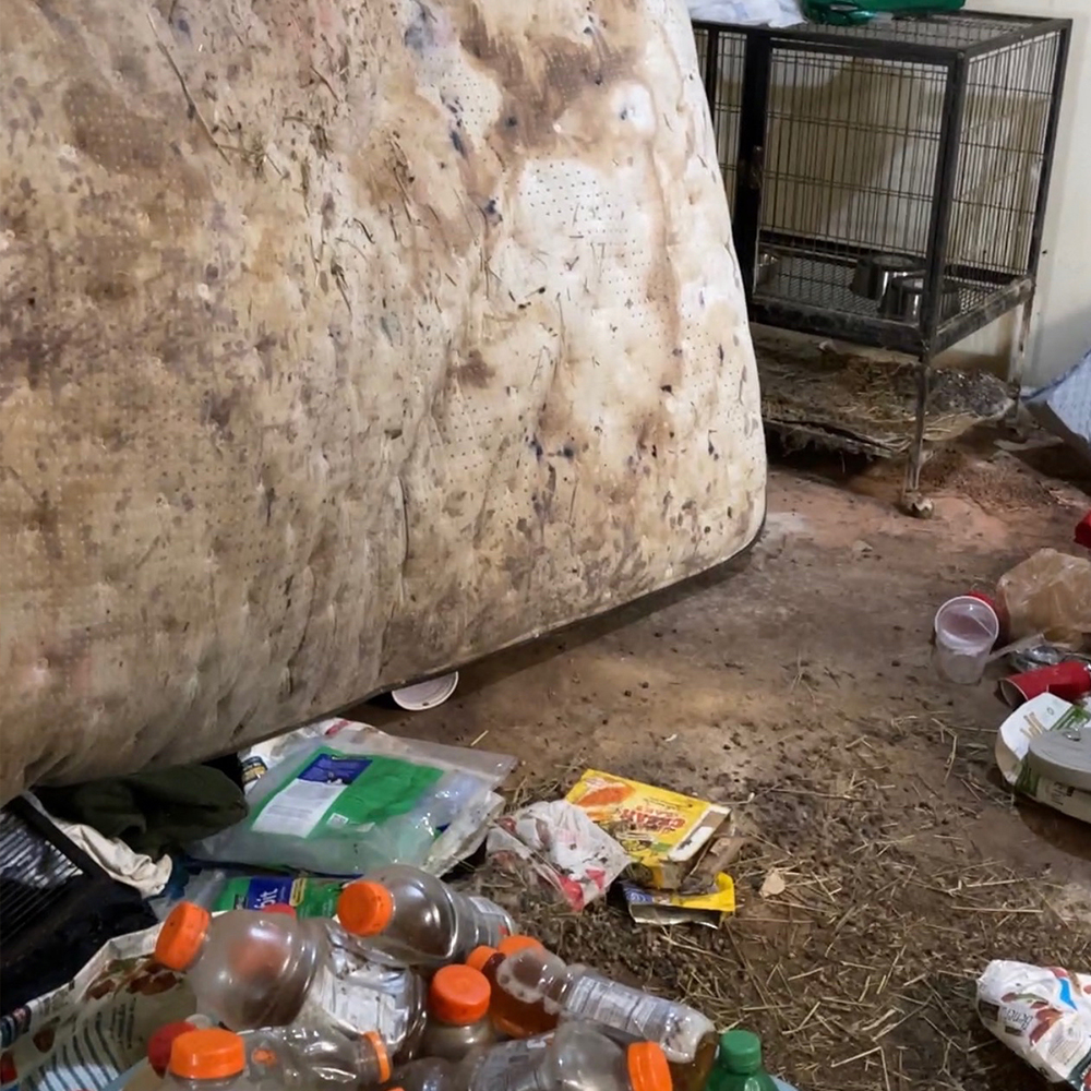 Servpro_PC's tweet image. Know when to PRO. Call us for this            not that