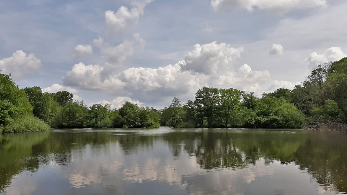 inja5248's tweet photo. de #leemkuilen in de #Doort #MiddenLimburg 💚
wat een rust...genieten!
@staatsbosbeheer https://t.co/c3zwhIWgPa