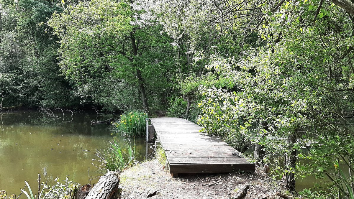 inja5248's tweet photo. de #leemkuilen in de #Doort #MiddenLimburg 💚
wat een rust...genieten!
@staatsbosbeheer https://t.co/c3zwhIWgPa