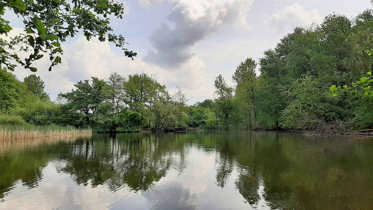 inja5248's tweet photo. de #leemkuilen in de #Doort #MiddenLimburg 💚
wat een rust...genieten!
@staatsbosbeheer https://t.co/c3zwhIWgPa