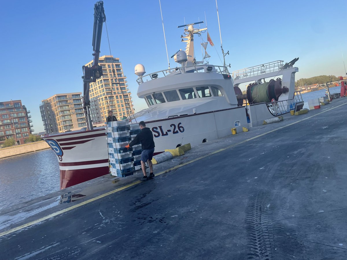 edwin_seters's tweet photo. Tommorow fish at the fish auction in Ostend from 2 days of fishing 🇧🇪 🐟 https://t.co/xlZKEZrO1L