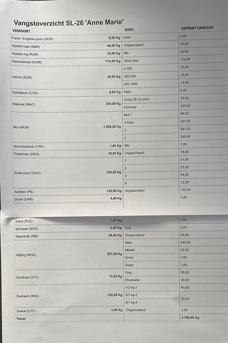 Tommorow fish at the fish auction in Ostend from 2 days of fishing 🇧🇪 🐟