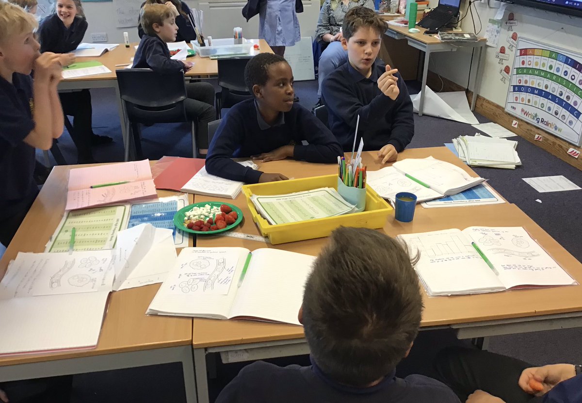 LuddenhamSchool's tweet photo. Year 6 learnt about blood by making blood smoothies. We used strawberries and raspberries for the red blood cells, marshmallow for white blood cells, sprinkles for the platelets and tropical juice for the plasma. Yummy! https://t.co/eS3Ue1k7K3