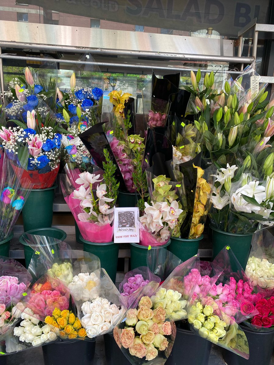 … mad woman traveling around manhattan