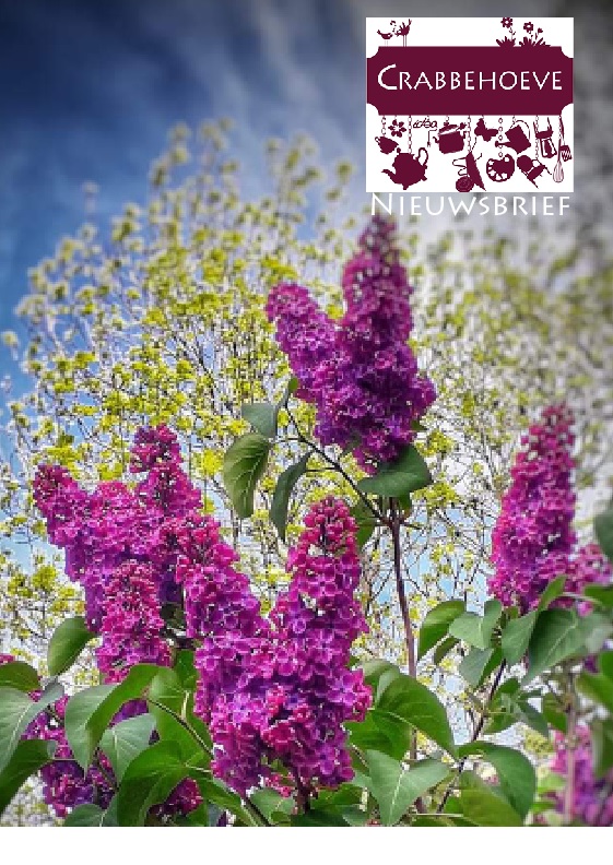 Nieuwsbrief 12 mei 2022 - mailchi.mp/312de7183822/n…