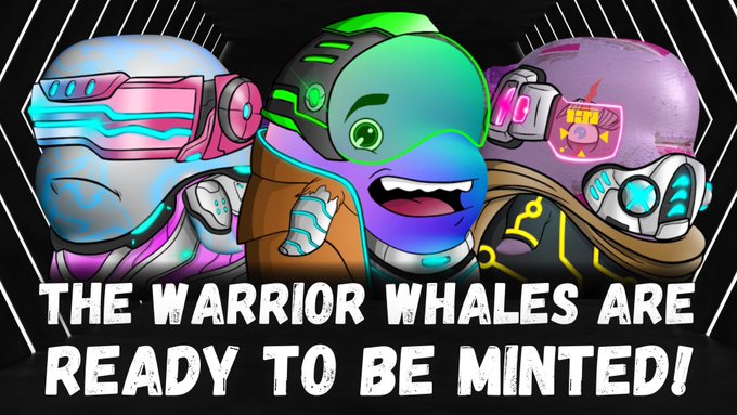 Chillin Chameleon Whales we have a surprise for you 🐳🎁  More details in our Discord Announcements 🌊 https://t<a href="/tag/chamverse"class="tags"><span>#chamverse</span></a>