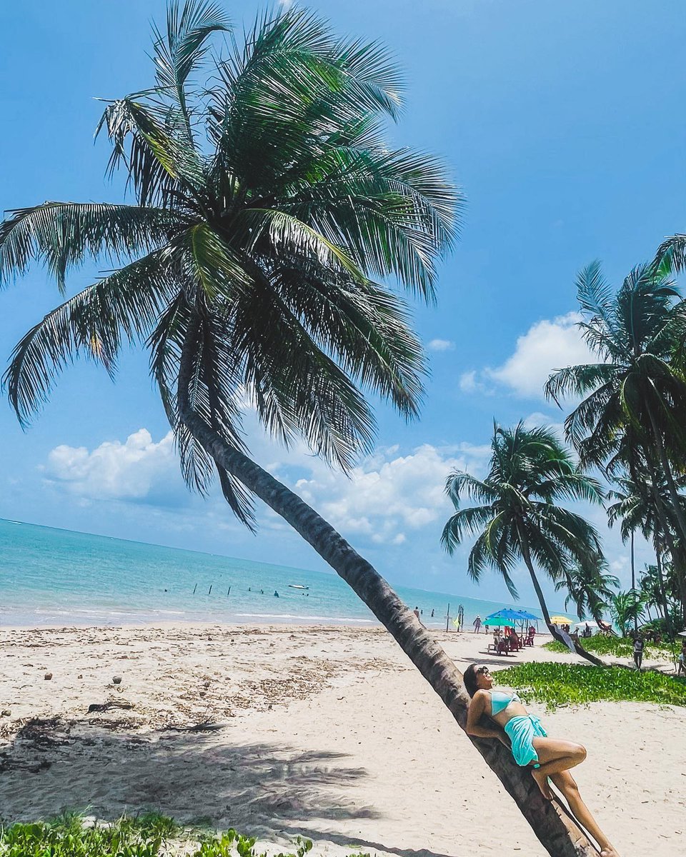 mividadeblog's tweet photo. 🇦🇷 Hoy te traemos toda la info que necesitas saber sobre este paradisiaco lugar
🇧🇷 Hoje trazemos todas as informações que você precisa saber sobre esse lugar paradisíaco
https://t.co/SZAyQynUix
.
#praia #patacho #Alagoas #travelphotography #Travel #traveling #Brasil https://t.co/St4Ilw1R4w