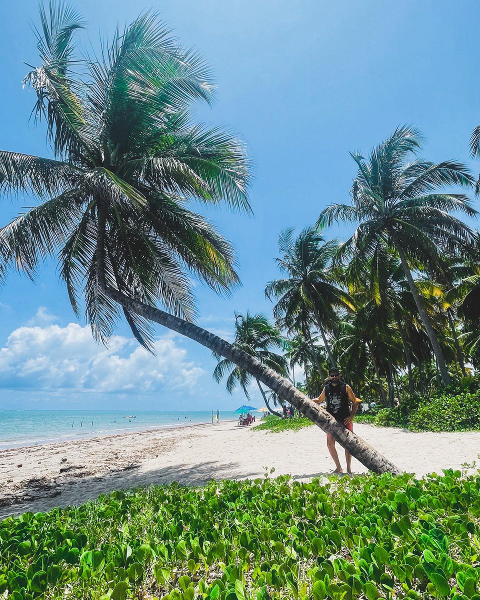 mividadeblog's tweet photo. 🇦🇷 Hoy te traemos toda la info que necesitas saber sobre este paradisiaco lugar
🇧🇷 Hoje trazemos todas as informações que você precisa saber sobre esse lugar paradisíaco
https://t.co/SZAyQynUix
.
#praia #patacho #Alagoas #travelphotography #Travel #traveling #Brasil https://t.co/St4Ilw1R4w