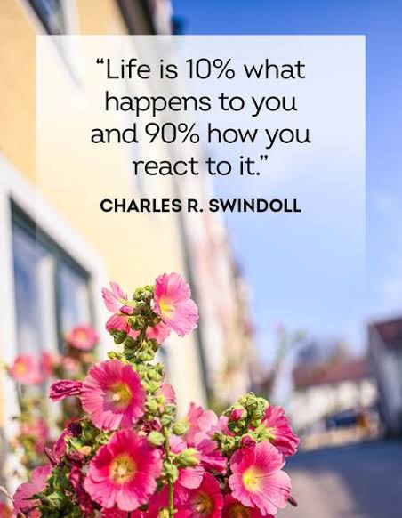 KristenJakobitz's tweet photo. #thursdayvibes #quote #MotivationalQuotes https://t.co/QoDHnIpuqO
