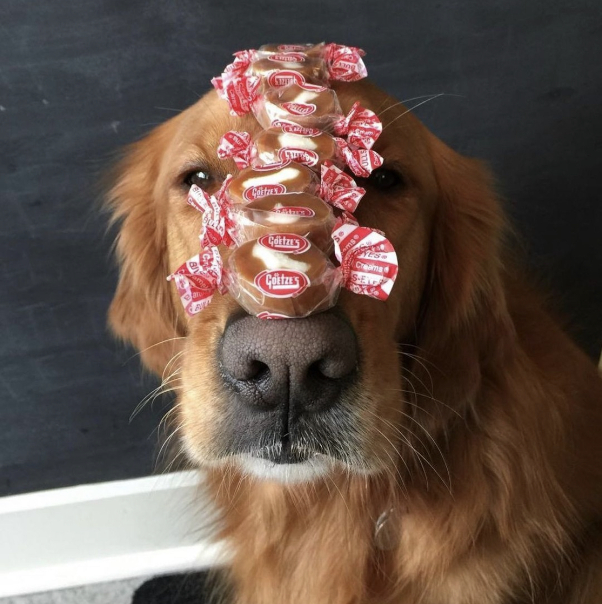 Goetze's Candy tweet media