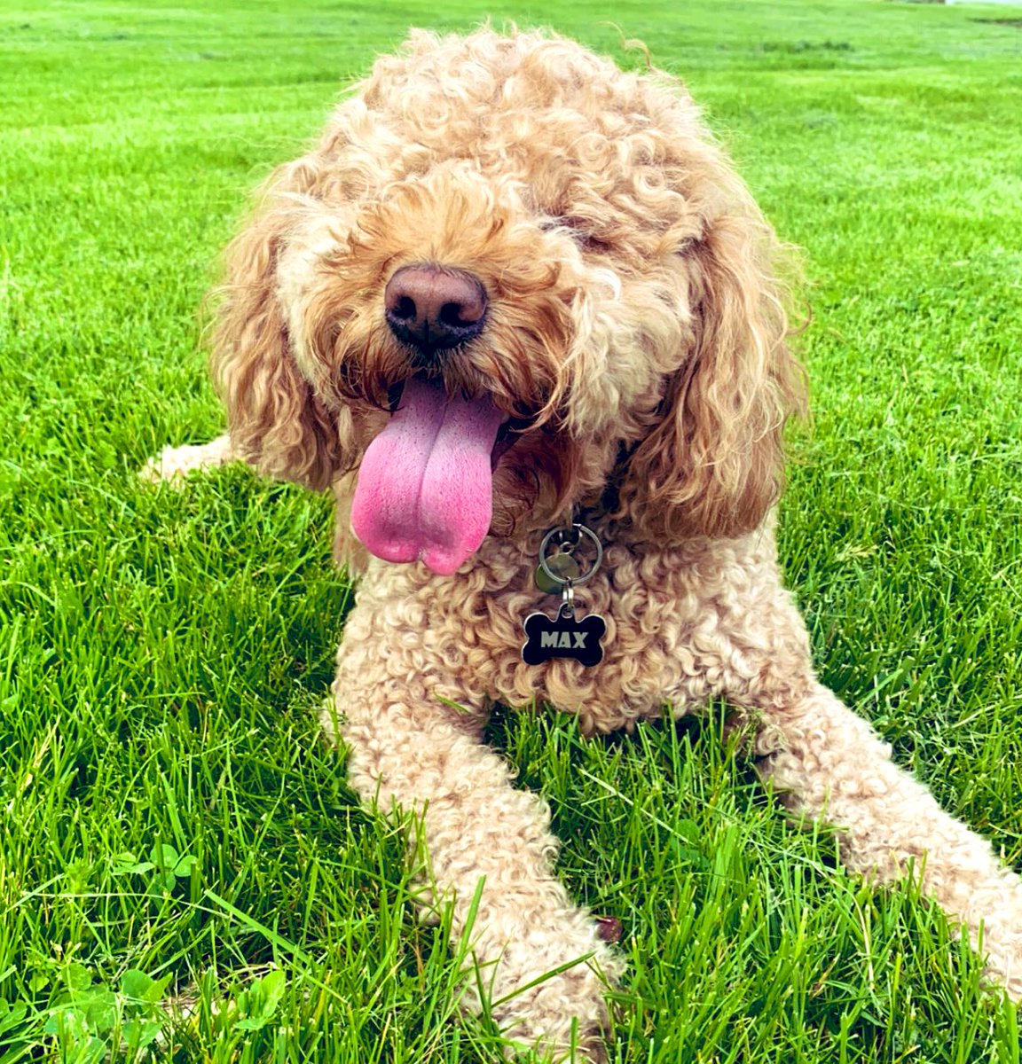 Max said 👅