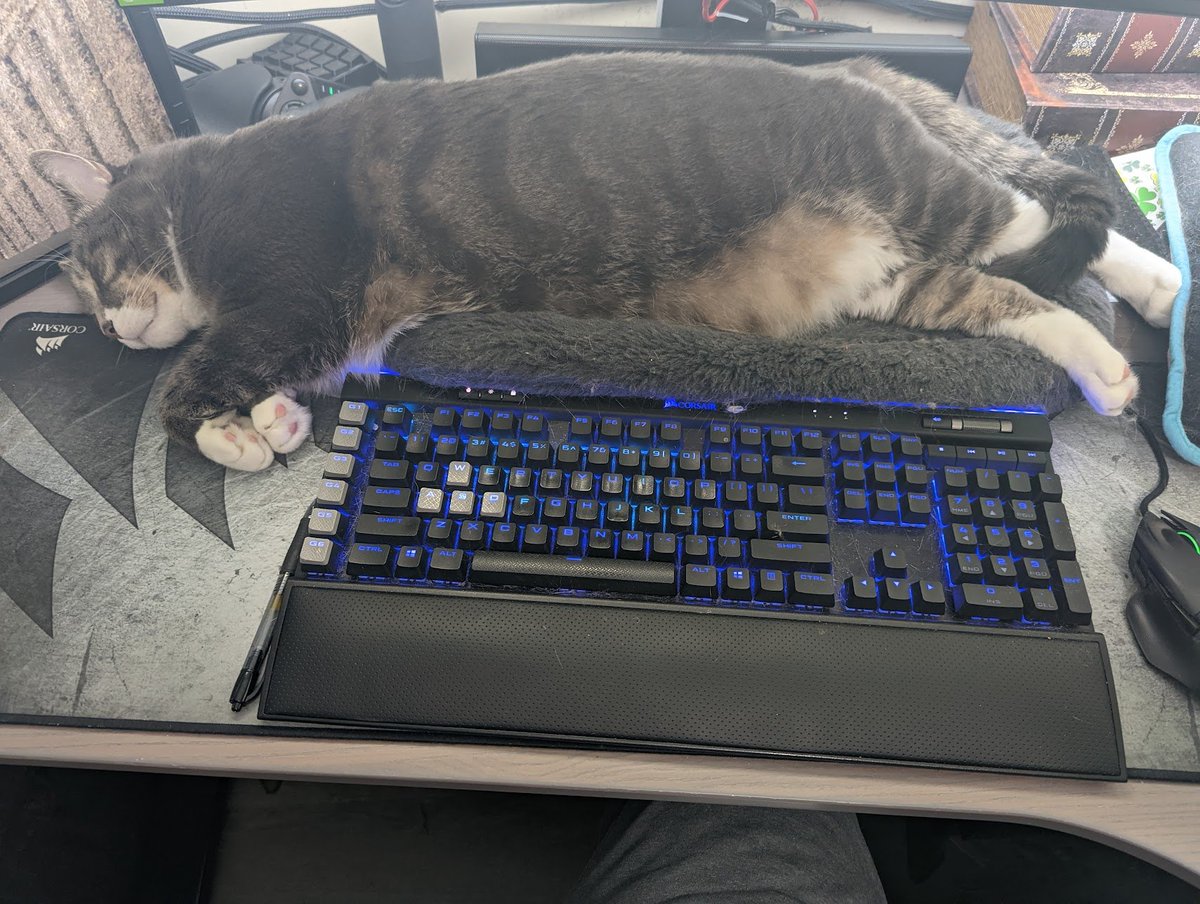NathanBalyeat's tweet photo. Happy #Peturday. My day job companion, Hannibal, giving his all to help me through the 9-5 grind. :) https://t.co/TDdTXs9xhe