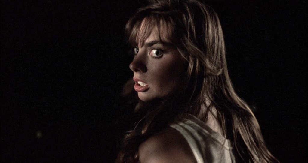 EugWSerra's tweet photo. On September 28, 1988, Scarecrows was released. #Scarecrows #TedVernon KristinaSanborn #VictoriaChristian #MichaelDavidSimms #RichardVidan #BJTurner #TonySantory #PhilZenderland #MikeBalog #WilliamWesley #RichardJefferies https://t.co/L9iIjHmPob
