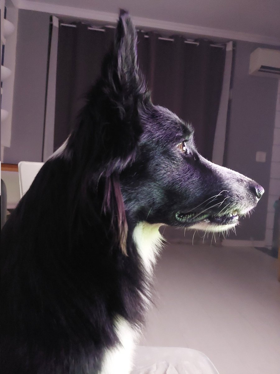 Ele é lindo! Chico...