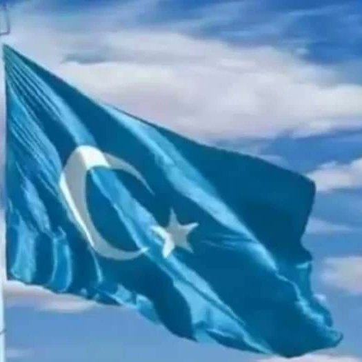 osmanoglu_79's tweet photo. #DevletiAliyyeOcakları olarak diyoruz ki;

"#Filistin davası ne kadar bizimse, #DoğuTürkistan davası da o kadar bizimdir"#HayırlıCumalar... https://t.co/MY4HoCwWcu
