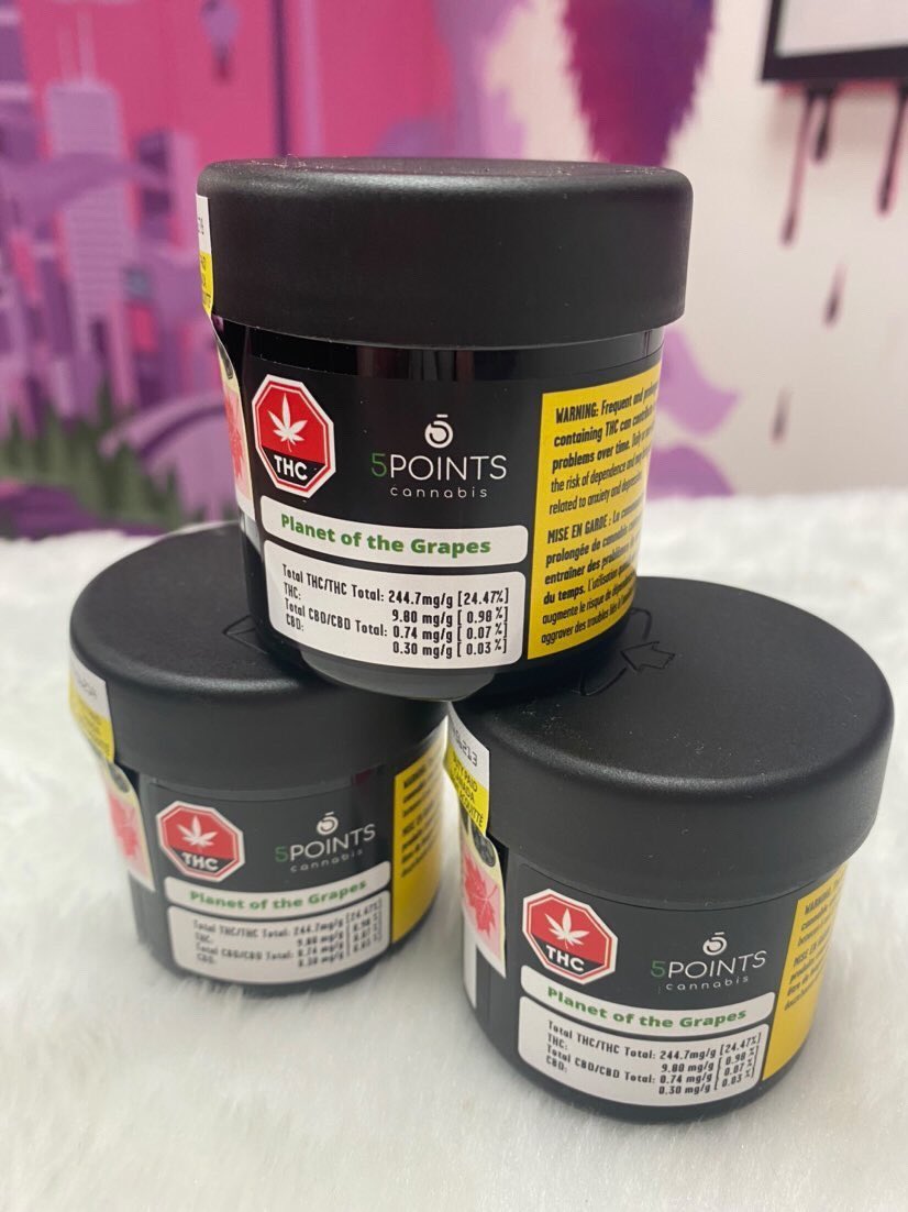 dollyscannabis photo