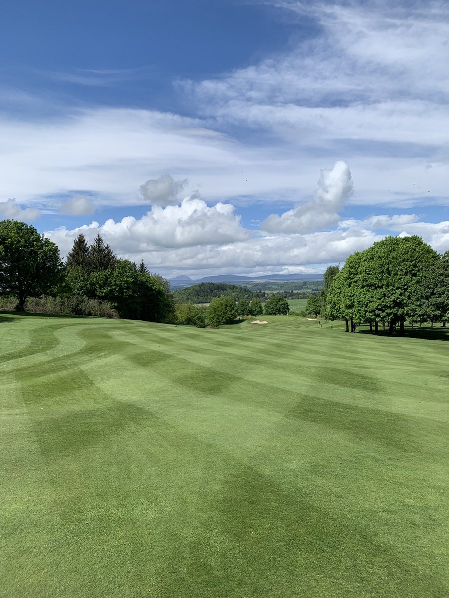 Alistair Kyle tweet media