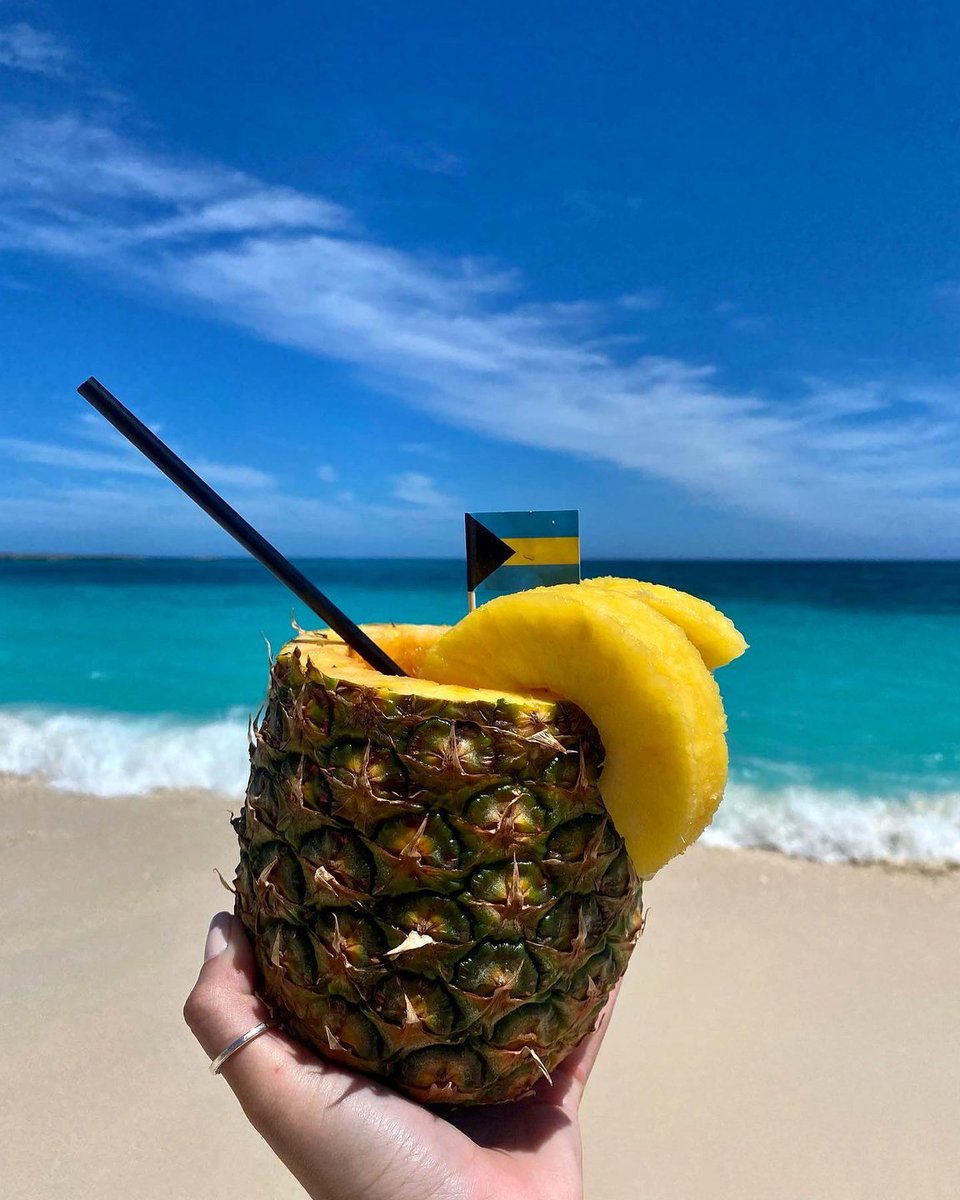 Nassau_Bahamas's tweet photo. Drinks just taste better out of a pineapple! 🍍 RT if you agree.
📷: whosaidmels https://t.co/88PdTFelpd
