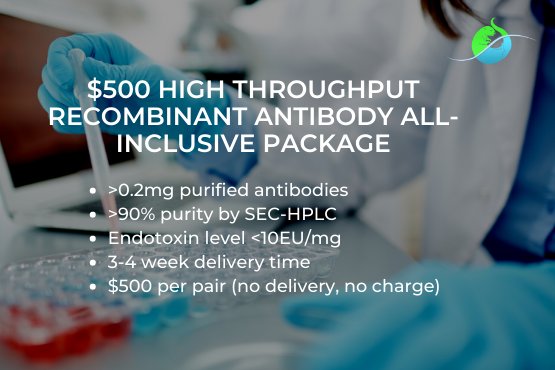 Check out our new $500 All-inclusive HTP recombinant antibody package! Guarantee superior purity and low endotoxin. 
bonopusbio.com/high-throughpu…