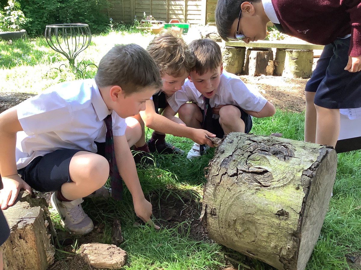 BromsPrePrep's tweet photo. Year 2 enjoyed exploring microhabitats this week as part of their science work. #BromsYr2 #BromsScience #OutdoorLearning https://t.co/wVyRXTwOH8