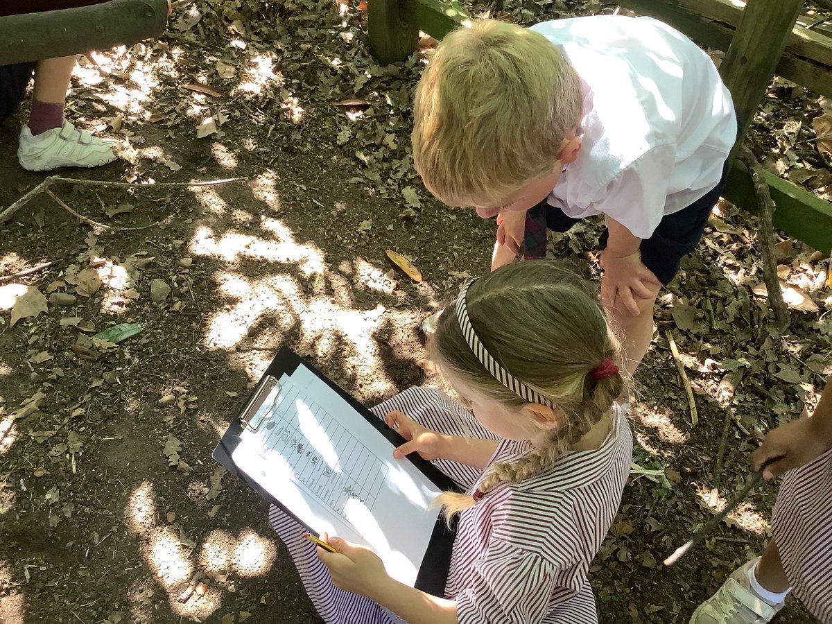 BromsPrePrep's tweet photo. Year 2 enjoyed exploring microhabitats this week as part of their science work. #BromsYr2 #BromsScience #OutdoorLearning https://t.co/wVyRXTwOH8