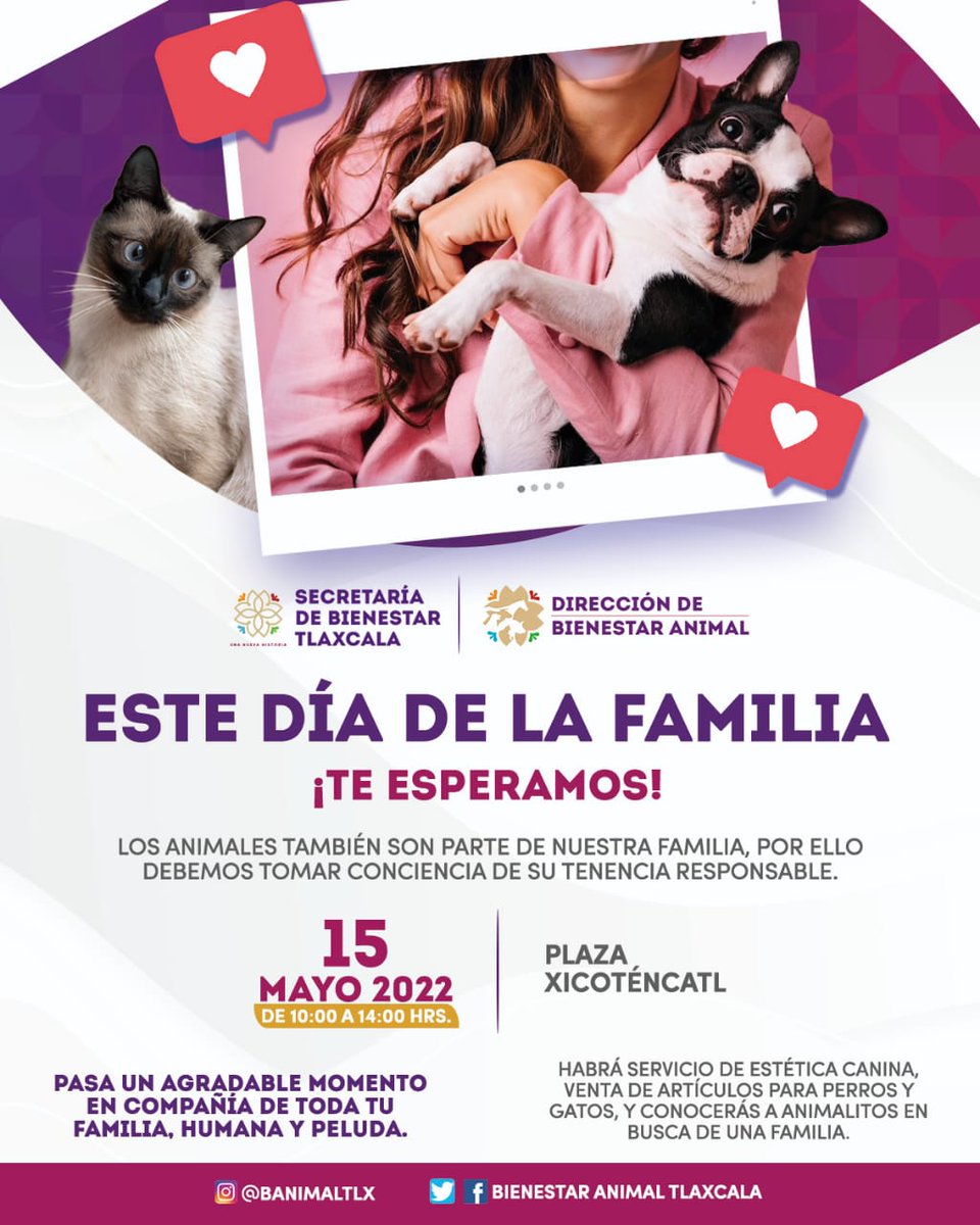 BienestarGobTlx's tweet photo. 💜 PORQUE 🐶🐱 SON PARTE DE NUESTRA #FAMILIA... 🎉

📣 Ven en compañía de tus perros o gatos 📣

¡SEAMOS TUTORES RESPONSABLES!

📌 Recuerda:
▪️Deberán de portar su correa y collar.
▪️En caso que sean poco sociables deberán de portar un bozal.
▪️Trae bolsas para sus heces. https://t.co/GbSv2F5DkC