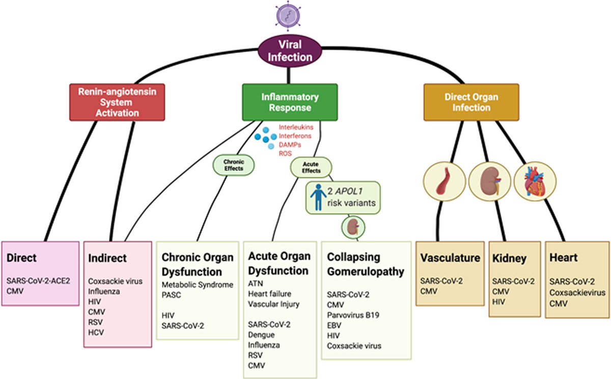 Matthew Sparks, MD tweet media