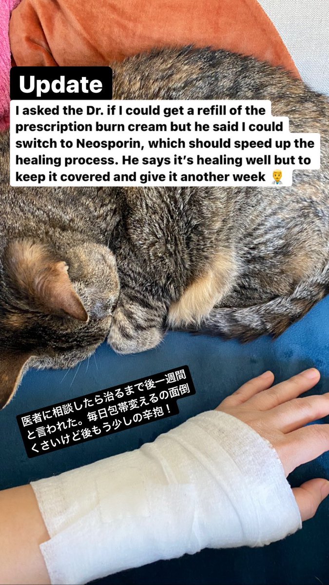 2 week update. 近況