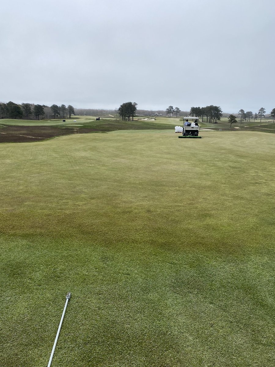 Colonial Turf tweet media