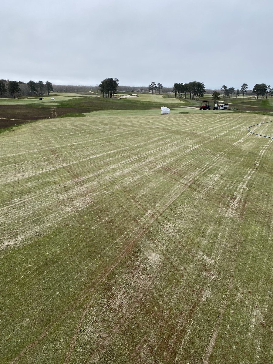 Colonial Turf tweet media