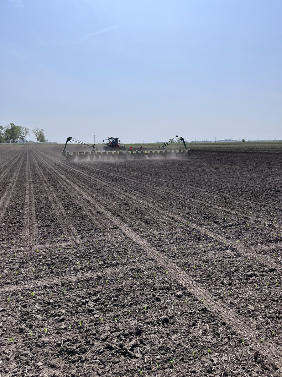 KyleRSmith1997's tweet photo. Another 🌽 plot down in Coles County IL. We have some exciting new Hybrids on the watch list👀. Can’t wait to see the results on the new SmartStaxPro. @StoneSeedIL @Bayer4CropsUS . #Plant22 #StoneKnowsIL #Bayer4IL https://t.co/pDnyjYfM9W