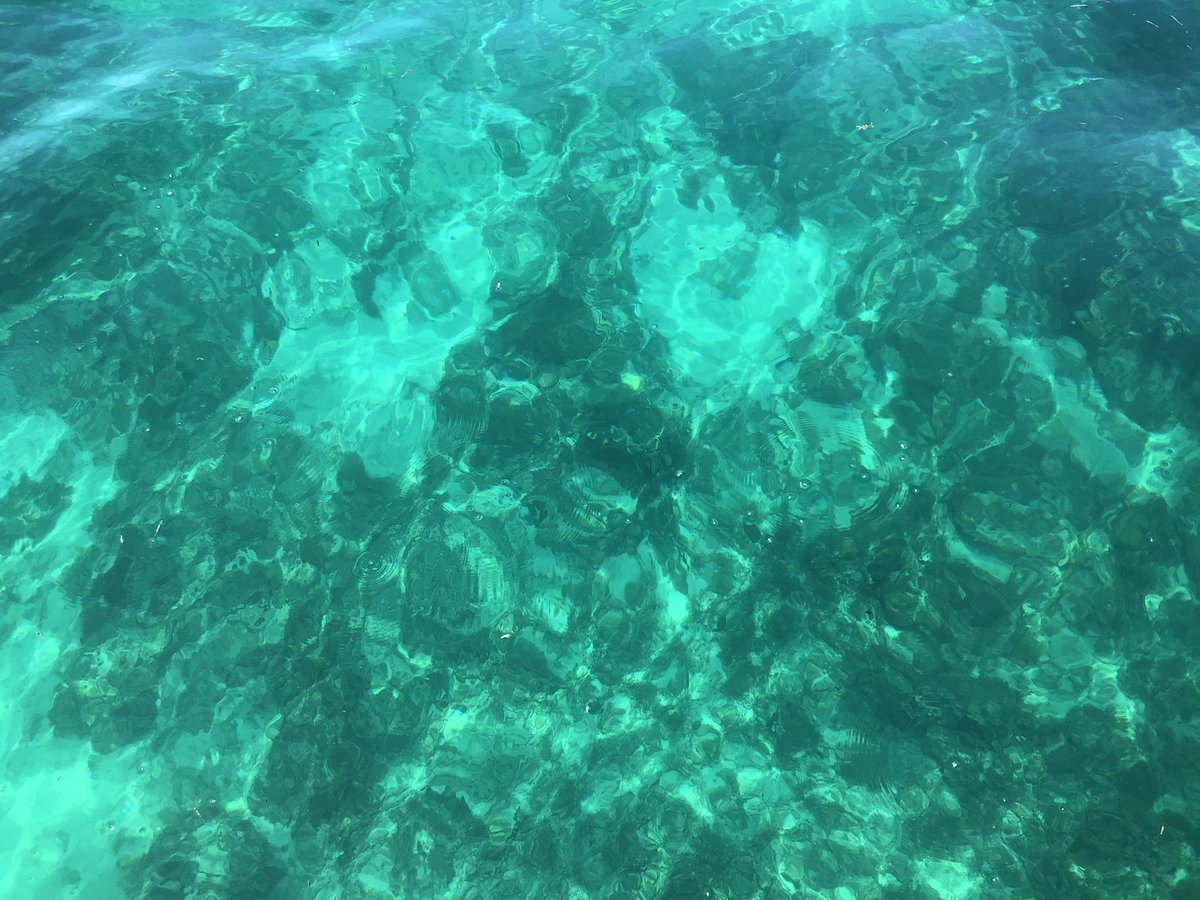 wryanjames's tweet photo. Scouting sites for the new #FISHSCAPE project @drew_butkowski @Alharborne @FIUEnvironment https://t.co/J4BYQabrxf