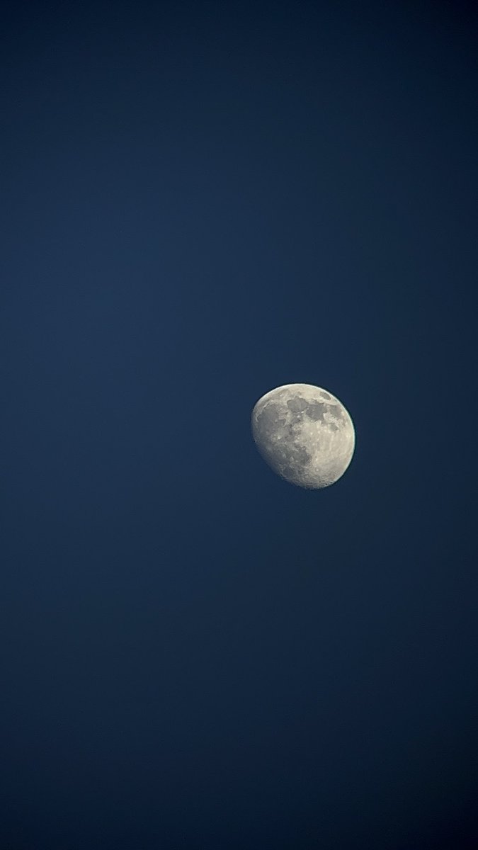 Ferdousi tweet media