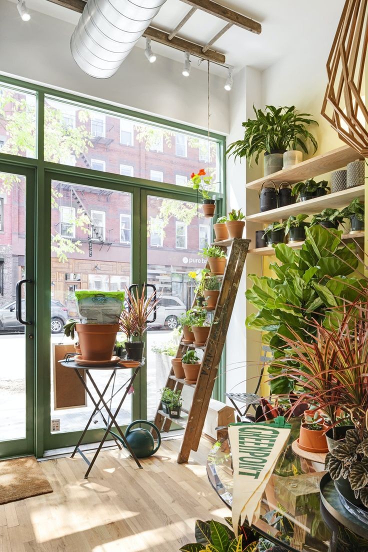 Vengan a  verme a mi otro trabajo.
#FreeRol 

꧁•⊹٭𝙶𝚛𝚎𝚎𝚗𝚙𝚘𝚒𝚗𝚝٭⊹•꧂