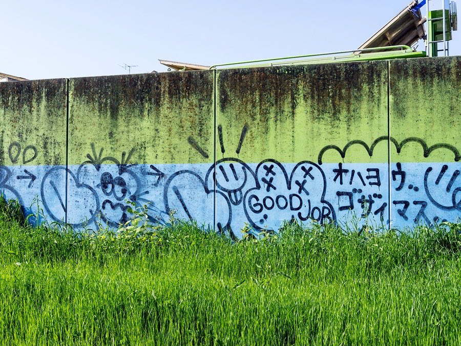 昭島市の多摩川沿いをお散歩。 なんとなく気になる落書き。 SIGMA 28