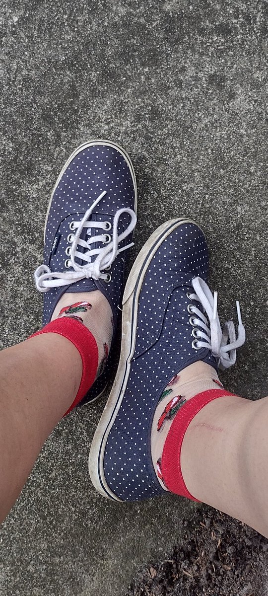 MorganJMoon's tweet photo. Guess who's been wearing nylon socks and vans all day?! want a taste? 🥵😏
#nylonsocks #feet #vans https://t.co/YwdyJfrUIc