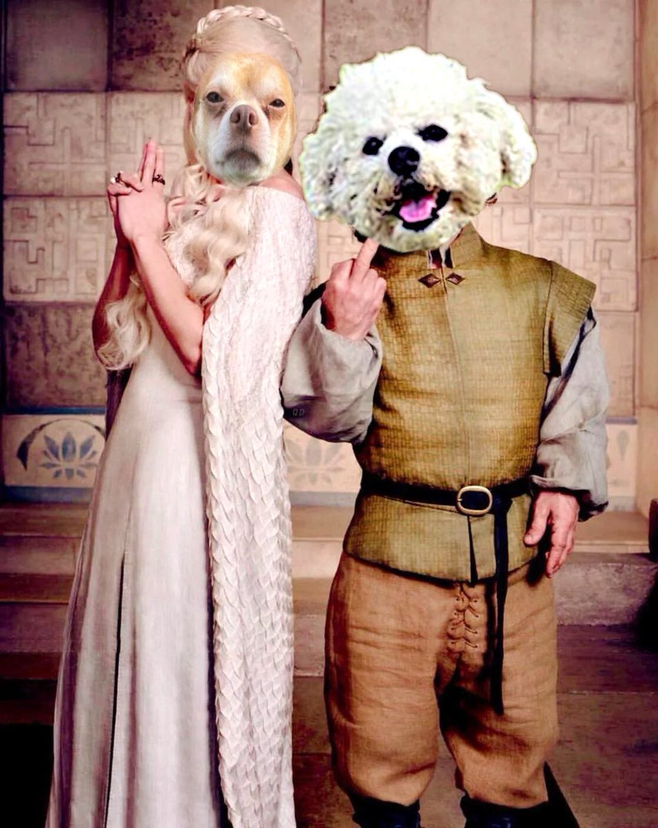 TedCruzPoodle's tweet photo. I once brought a jackass and a honeycomb into a brothel. 

Now all I have to show for it is a jackass.

#tedcruzsucks
#prancerthechihuahua 
#themthrones https://t.co/dOjiQGB7Ch